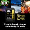 61gtNndxavL._AC_SL1000_ Lexar 512GB Professional 2000x SDXC Memory Card, UHS-II, C10, U3, V90, Full-HD & 8K Video, Up to 300MB/s Read, for DSLR, Cinema-Quality Video Cameras (LSD2000512G-RNNNU)